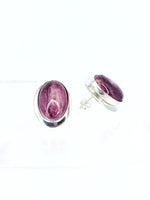 Purple Shell Earrings