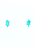 Turquoise Horned Toad Studs